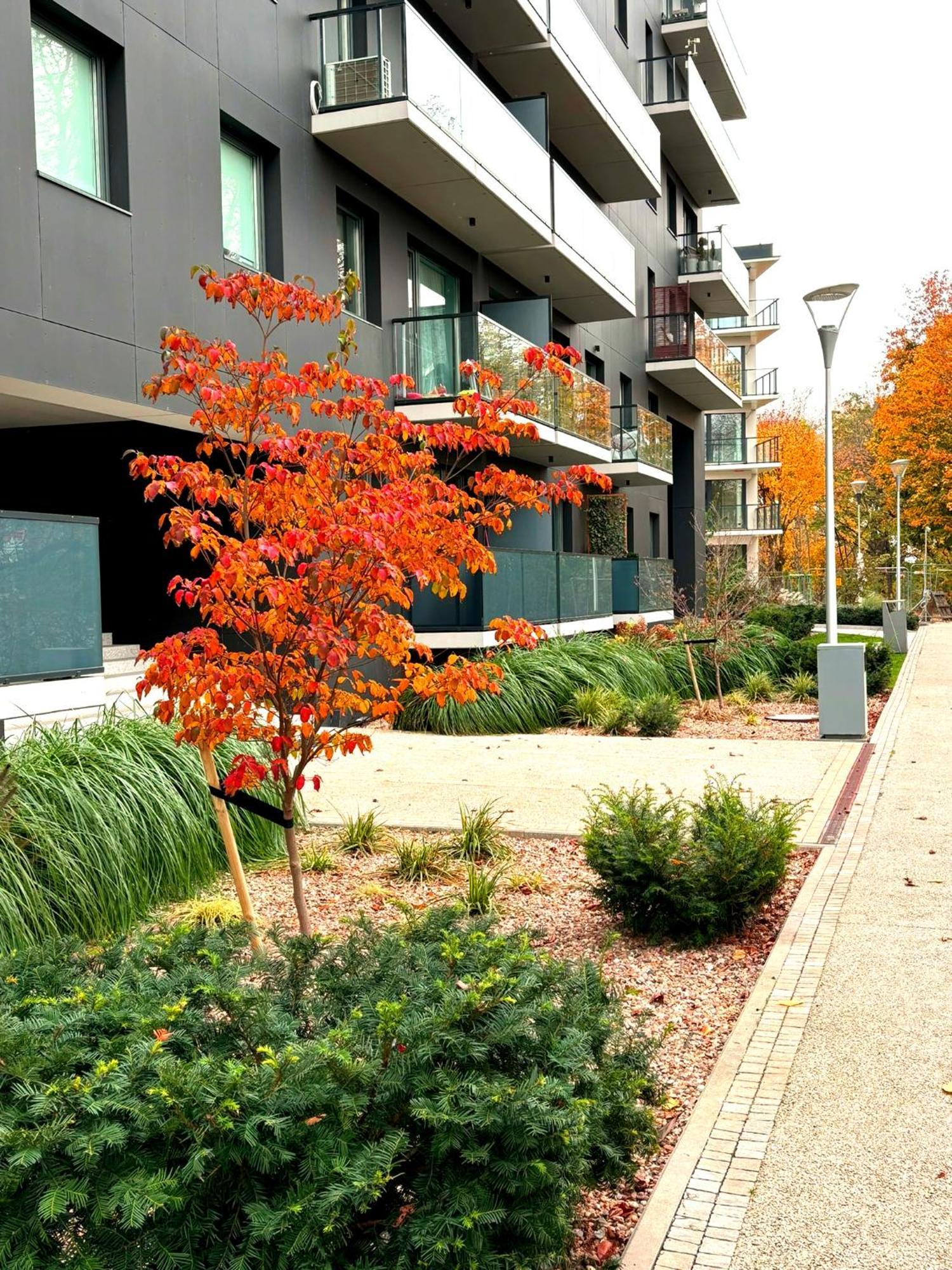 Prime Time Apartament - 24H Check -In - Parking W Cenie Wrocław Zewnętrze zdjęcie