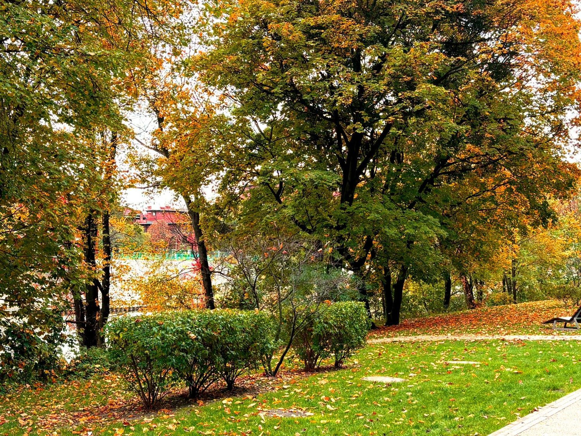 Prime Time Apartament - 24H Check -In - Parking W Cenie Wrocław Zewnętrze zdjęcie